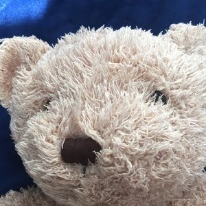 Collectible Barnsie. Barnes and noble bear